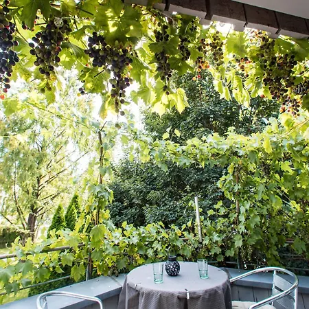 Apartment Marie-lu Bad Waldsee